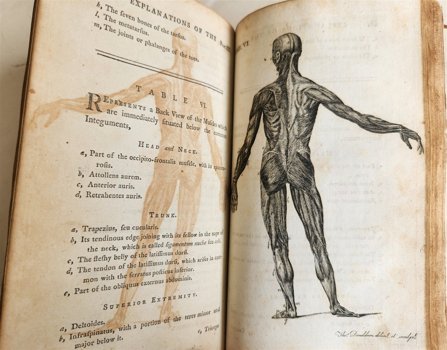 1791 System of Anatomy & Physiology ANTIQUE 3 vols. ILLUSTRATED