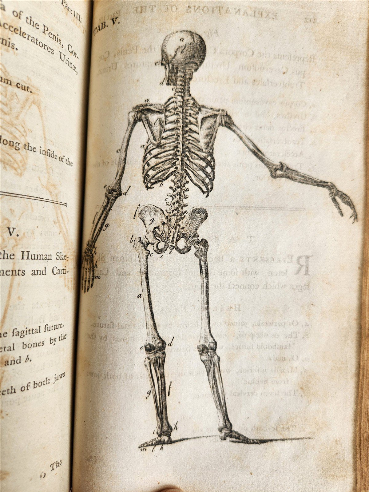 1791 System of Anatomy & Physiology ANTIQUE 3 vols. ILLUSTRATED