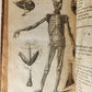 1791 System of Anatomy & Physiology ANTIQUE 3 vols. ILLUSTRATED