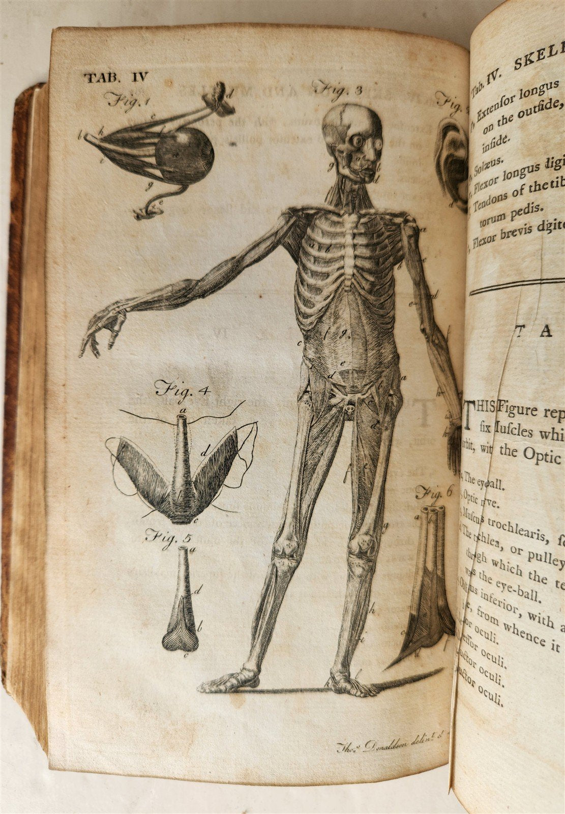 1791 System of Anatomy & Physiology ANTIQUE 3 vols. ILLUSTRATED