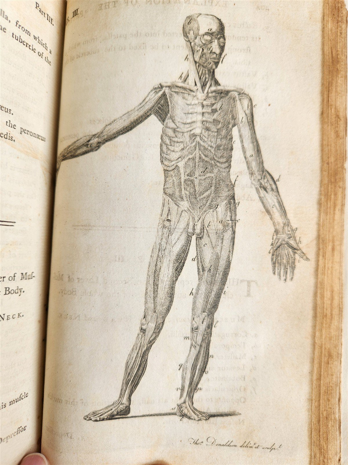 1791 System of Anatomy & Physiology ANTIQUE 3 vols. ILLUSTRATED