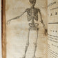 1791 System of Anatomy & Physiology ANTIQUE 3 vols. ILLUSTRATED