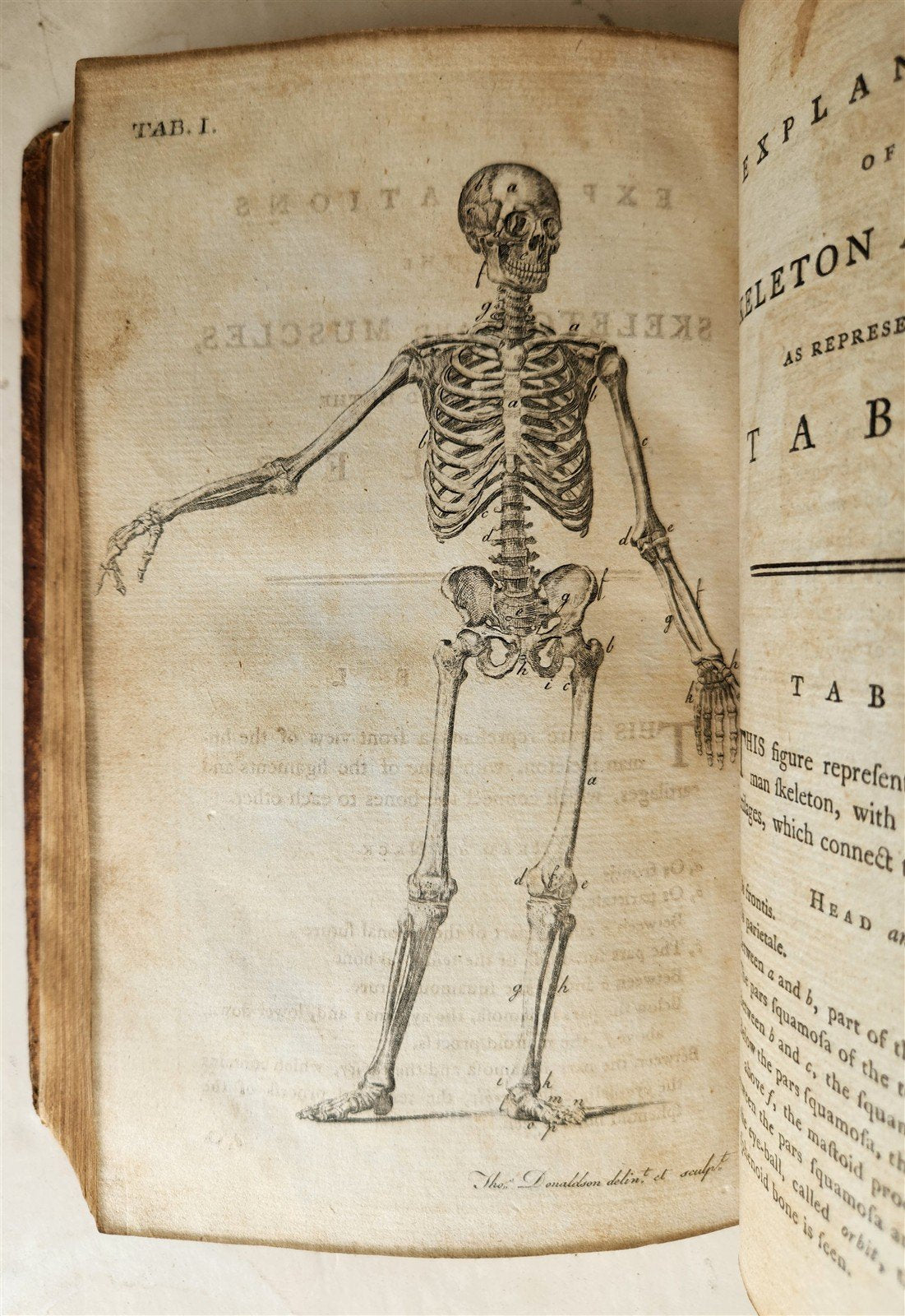 1791 System of Anatomy & Physiology ANTIQUE 3 vols. ILLUSTRATED