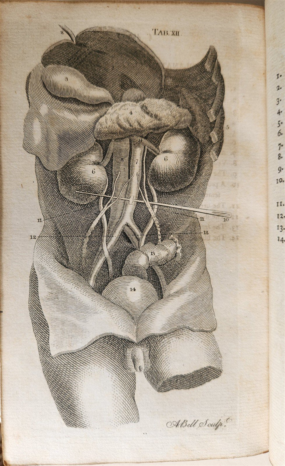 1791 System of Anatomy & Physiology ANTIQUE 3 vols. ILLUSTRATED