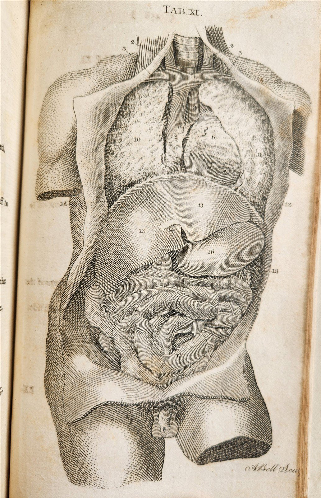 1791 System of Anatomy & Physiology ANTIQUE 3 vols. ILLUSTRATED