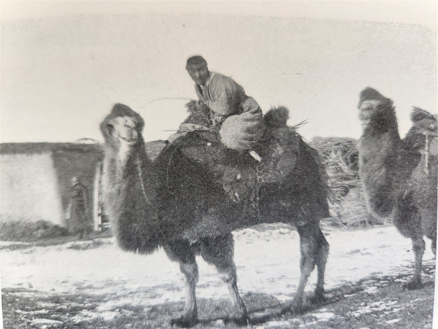 1898 THROUGH ASIA by SVEN HEDIN antique ILLUSTRATED w/ 300 PICTURES 2 volumes