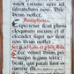 15th - 16th century ANTIPHONAL VELLUM CHART MANUSCRIPT antique music score 21x31