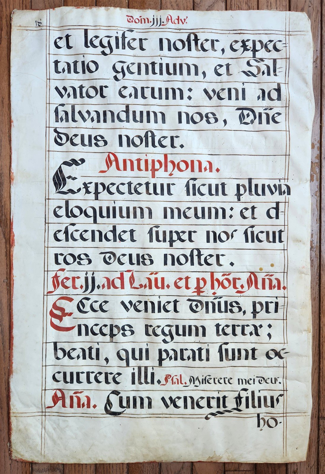 15th - 16th century ANTIPHONAL VELLUM CHART MANUSCRIPT antique music score 21x31