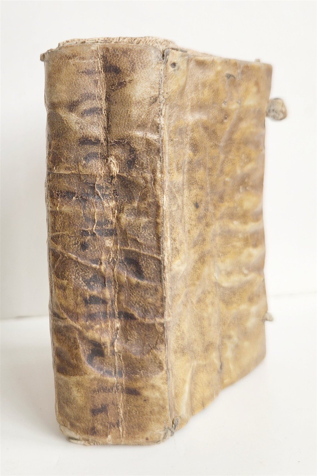 1585 AESOP fully illustrated ANTIQUE 16th century emblemata VELLUM BINDING rare