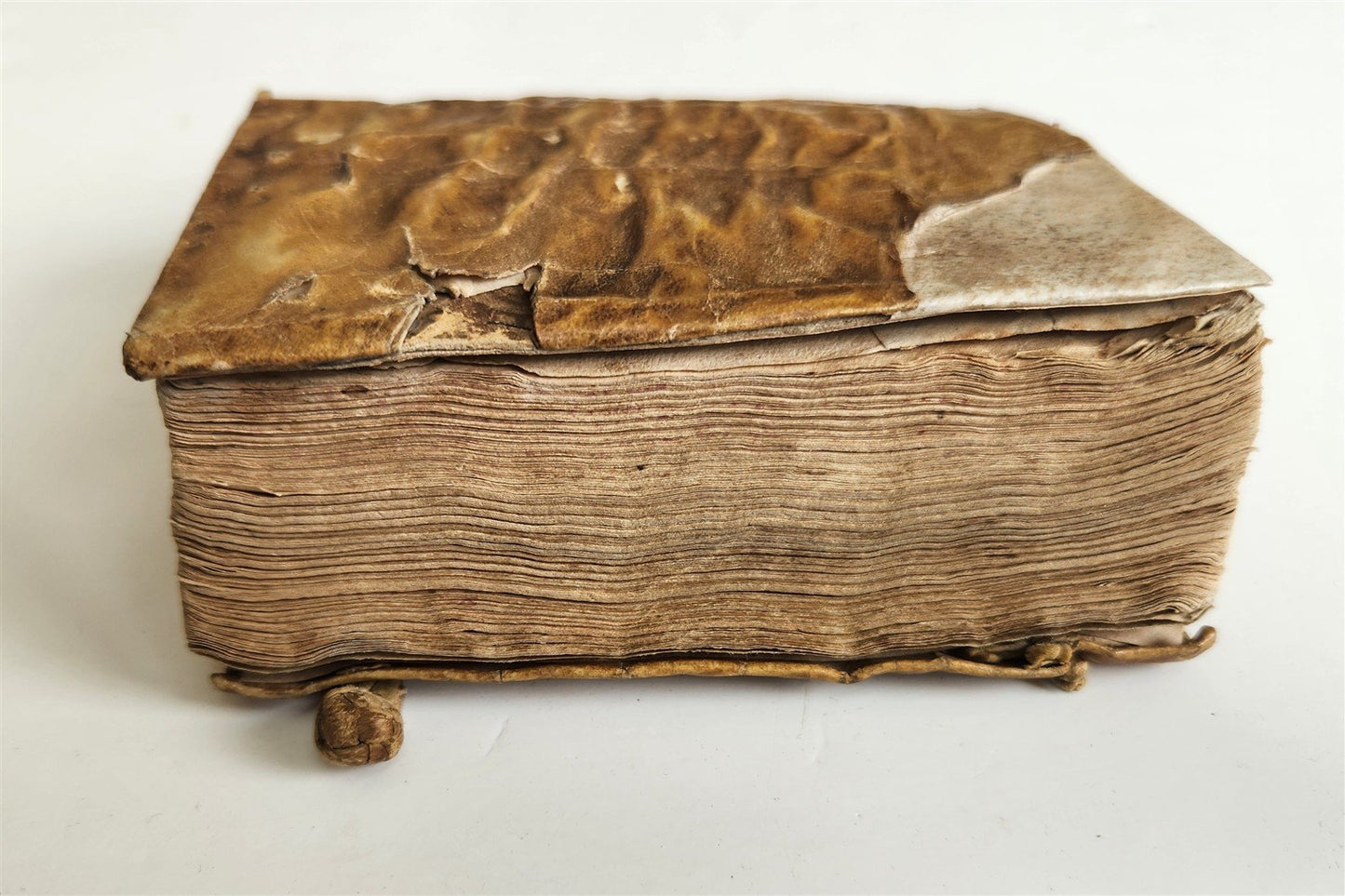 1585 AESOP fully illustrated ANTIQUE 16th century emblemata VELLUM BINDING rare