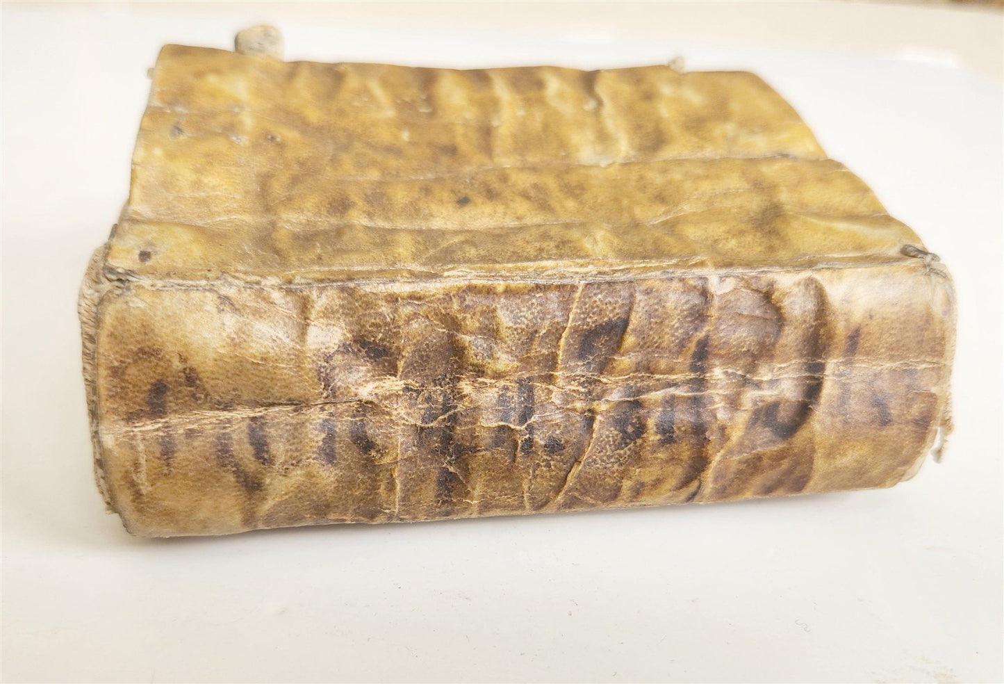 1585 AESOP fully illustrated ANTIQUE 16th century emblemata VELLUM BINDING rare