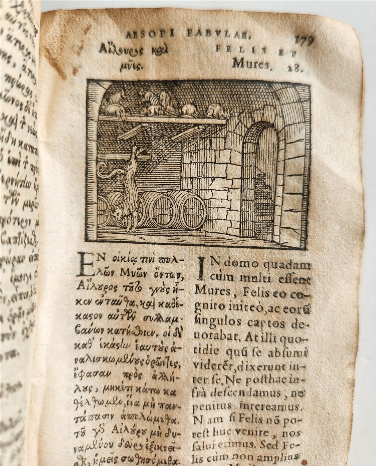 1585 AESOP fully illustrated ANTIQUE 16th century emblemata VELLUM BINDING rare
