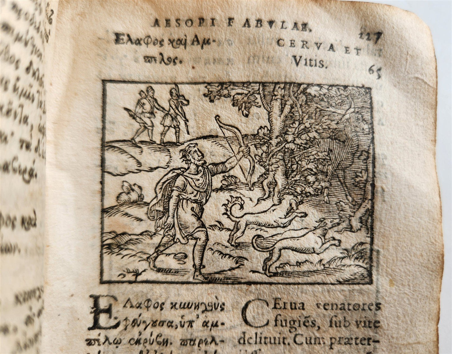 1585 AESOP fully illustrated ANTIQUE 16th century emblemata VELLUM BINDING rare