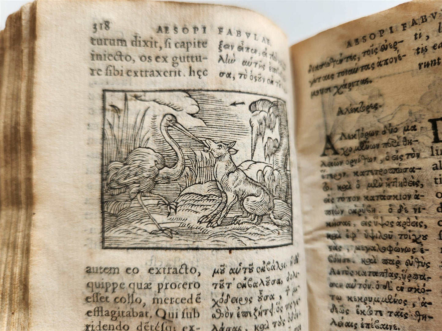 1585 AESOP fully illustrated ANTIQUE 16th century emblemata VELLUM BINDING rare