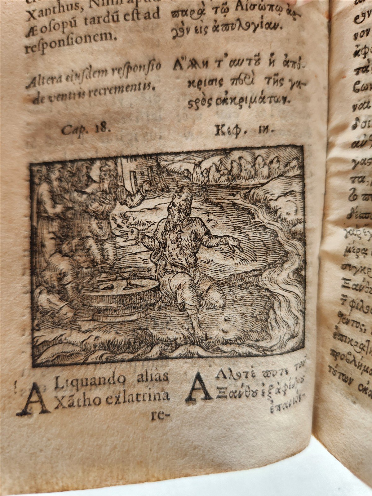 1585 AESOP fully illustrated ANTIQUE 16th century emblemata VELLUM BINDING rare