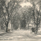 NATICK MA WEST CENTRAL STREET ANTIQUE POSTCARD