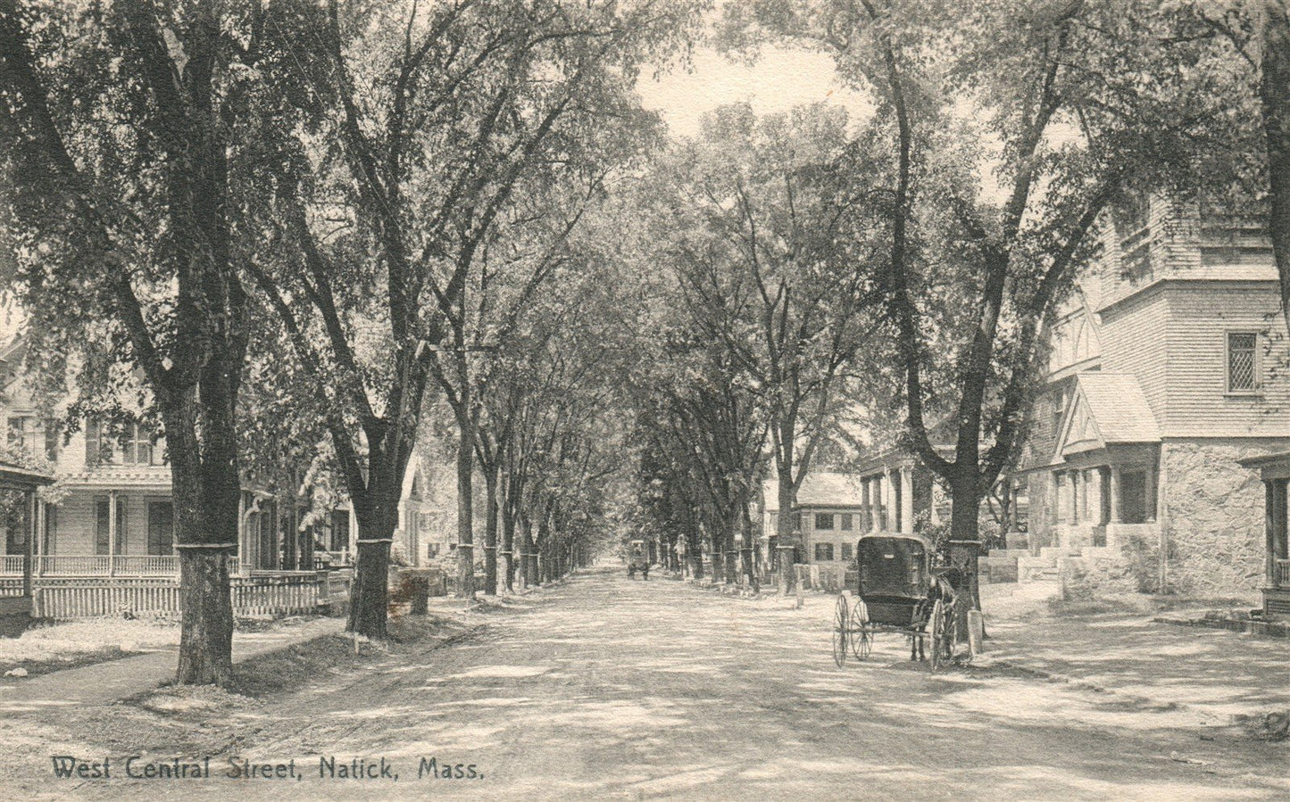 NATICK MA WEST CENTRAL STREET ANTIQUE POSTCARD
