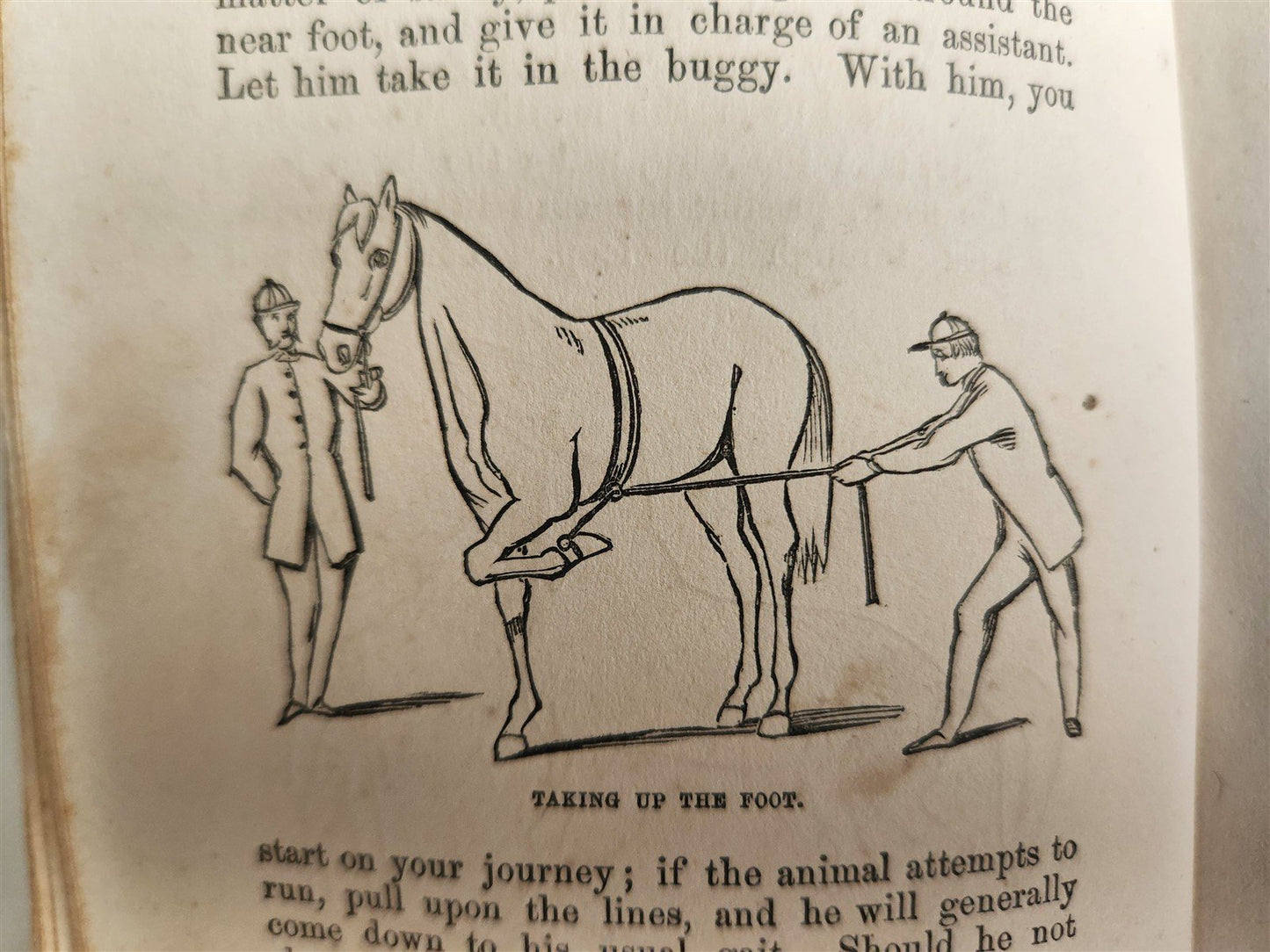 1866 HORSE TRAINING MADE EASY by Robert Jennings illustrated ANTIQUE
