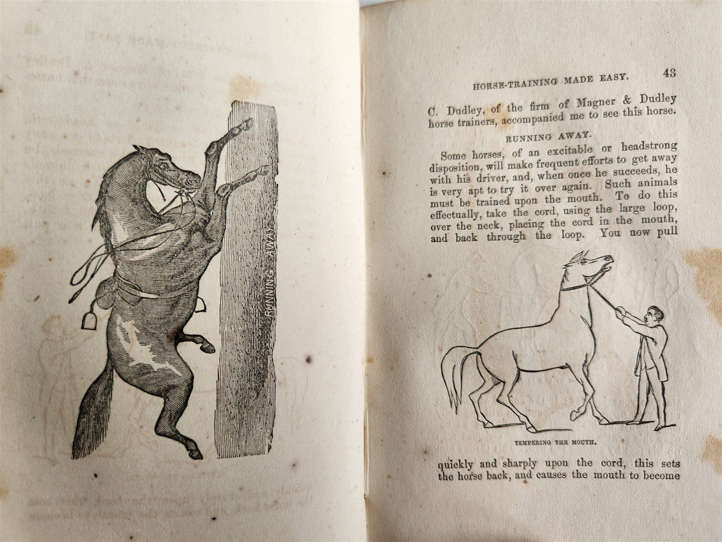 1866 HORSE TRAINING MADE EASY by Robert Jennings illustrated ANTIQUE
