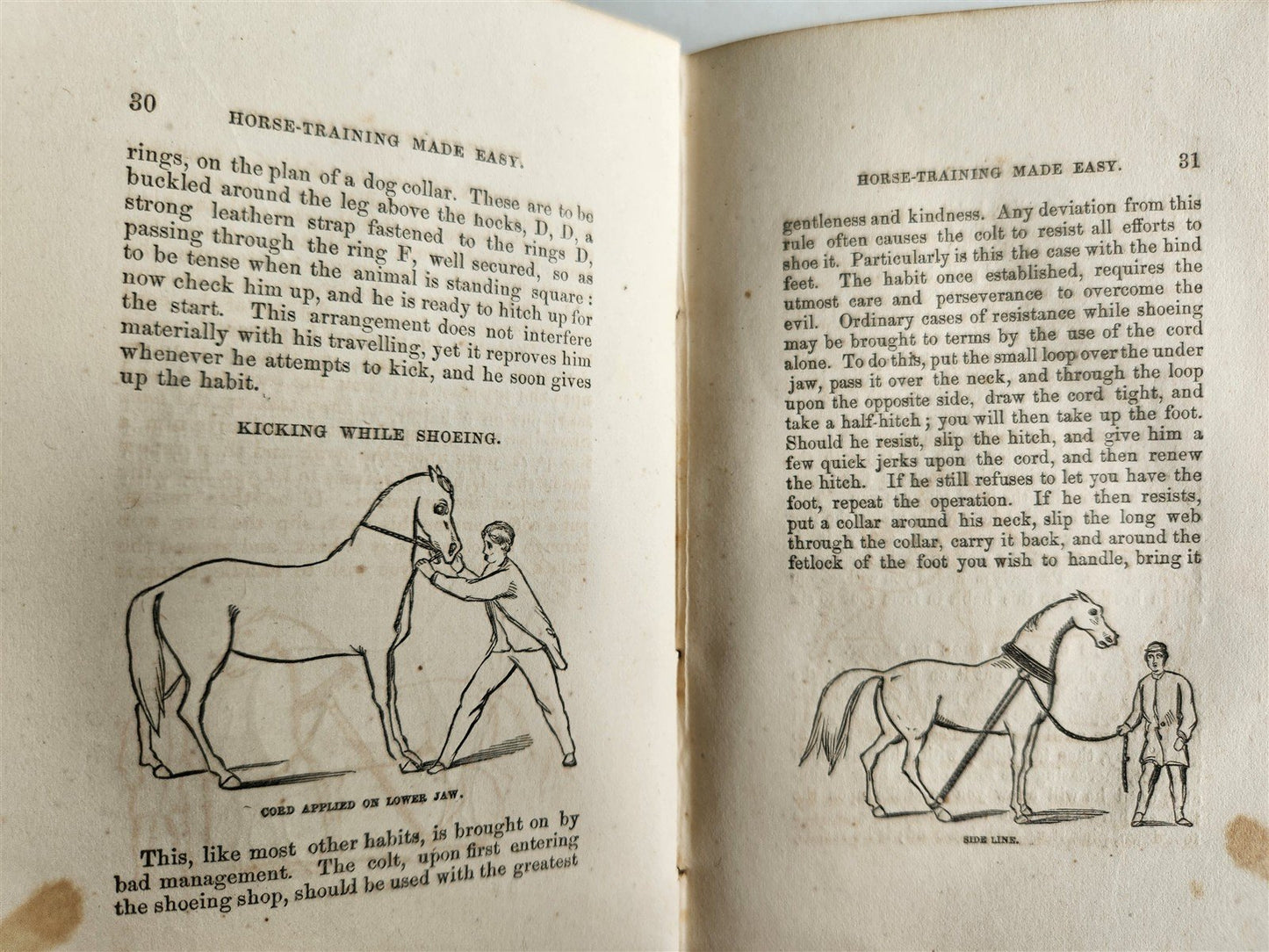 1866 HORSE TRAINING MADE EASY by Robert Jennings illustrated ANTIQUE