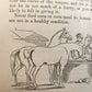1866 HORSE TRAINING MADE EASY by Robert Jennings illustrated ANTIQUE