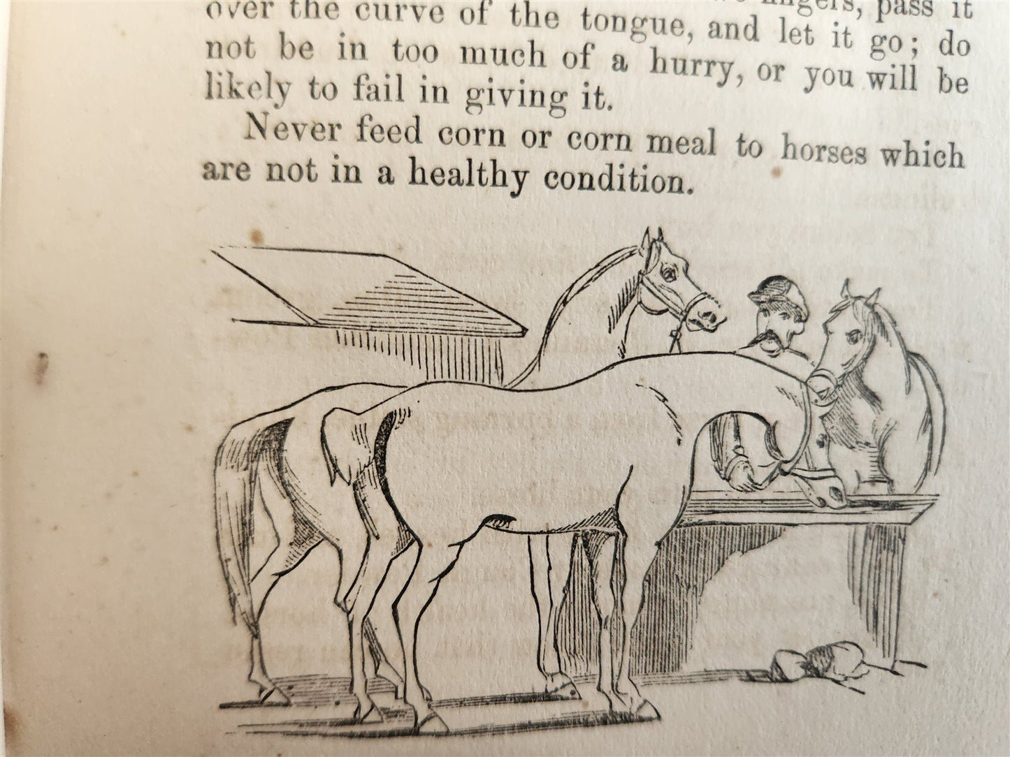 1866 HORSE TRAINING MADE EASY by Robert Jennings illustrated ANTIQUE