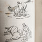 1866 HORSE TRAINING MADE EASY by Robert Jennings illustrated ANTIQUE