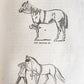 1866 HORSE TRAINING MADE EASY by Robert Jennings illustrated ANTIQUE