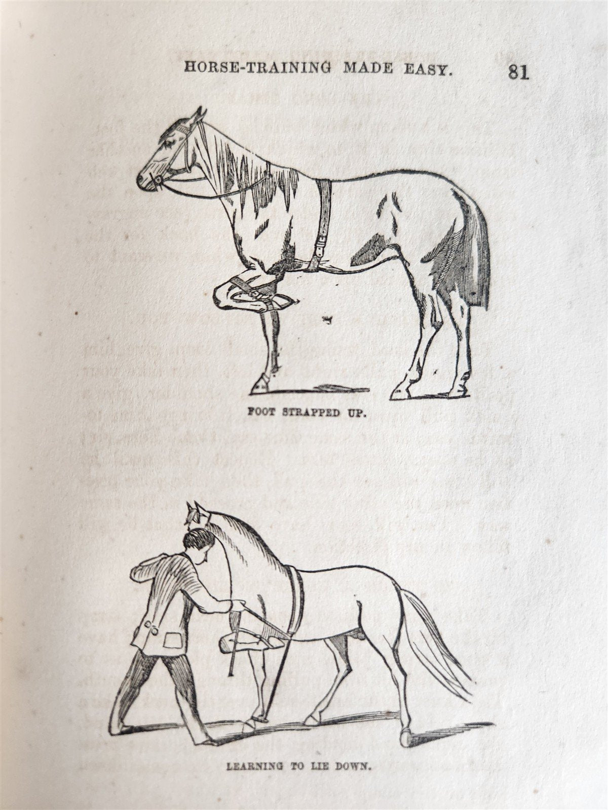 1866 HORSE TRAINING MADE EASY by Robert Jennings illustrated ANTIQUE