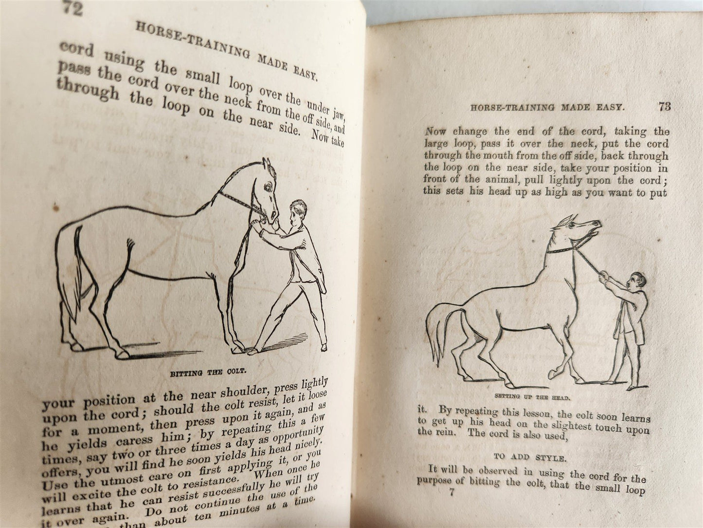 1866 HORSE TRAINING MADE EASY by Robert Jennings illustrated ANTIQUE