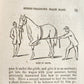1866 HORSE TRAINING MADE EASY by Robert Jennings illustrated ANTIQUE