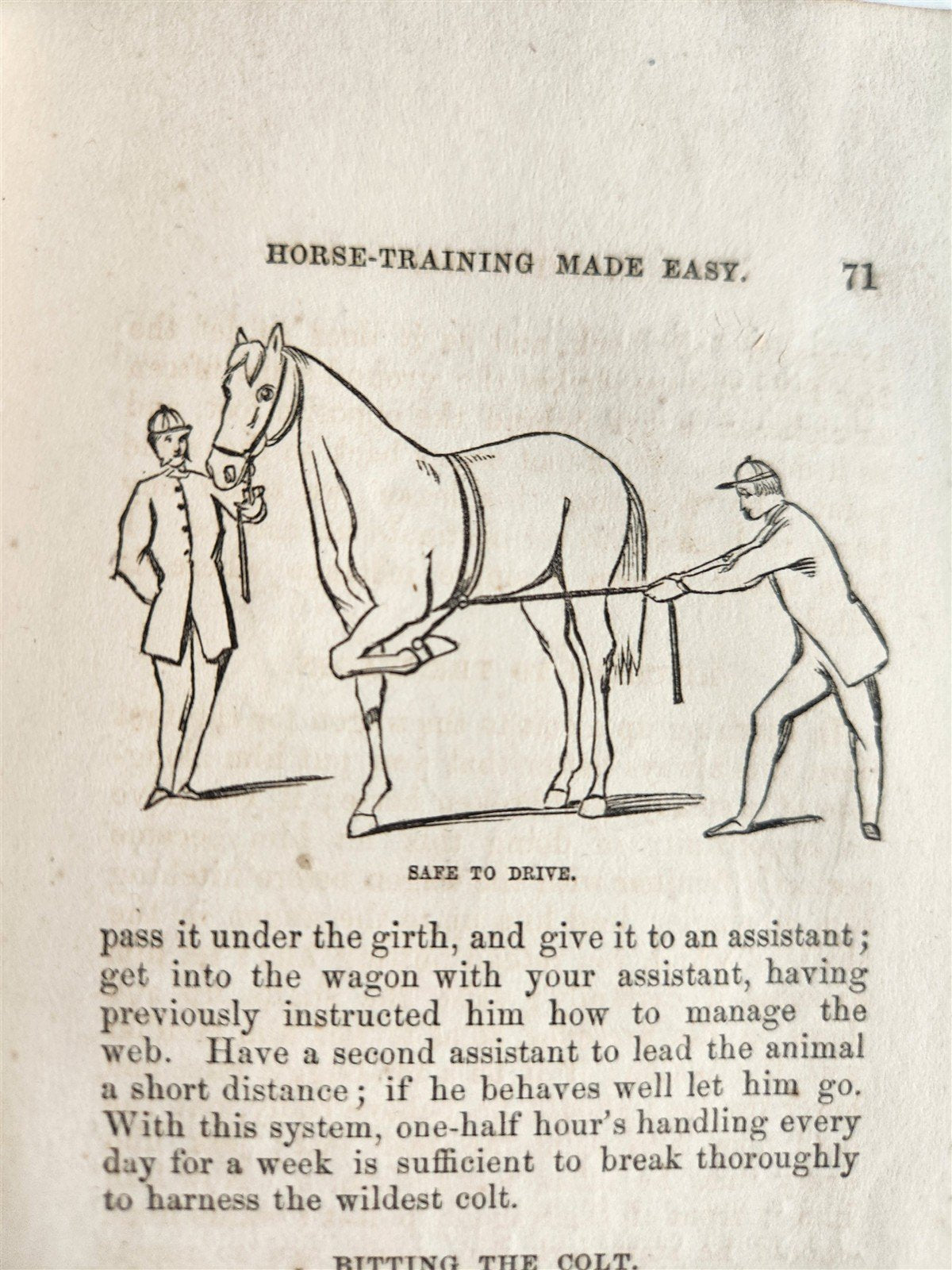 1866 HORSE TRAINING MADE EASY by Robert Jennings illustrated ANTIQUE