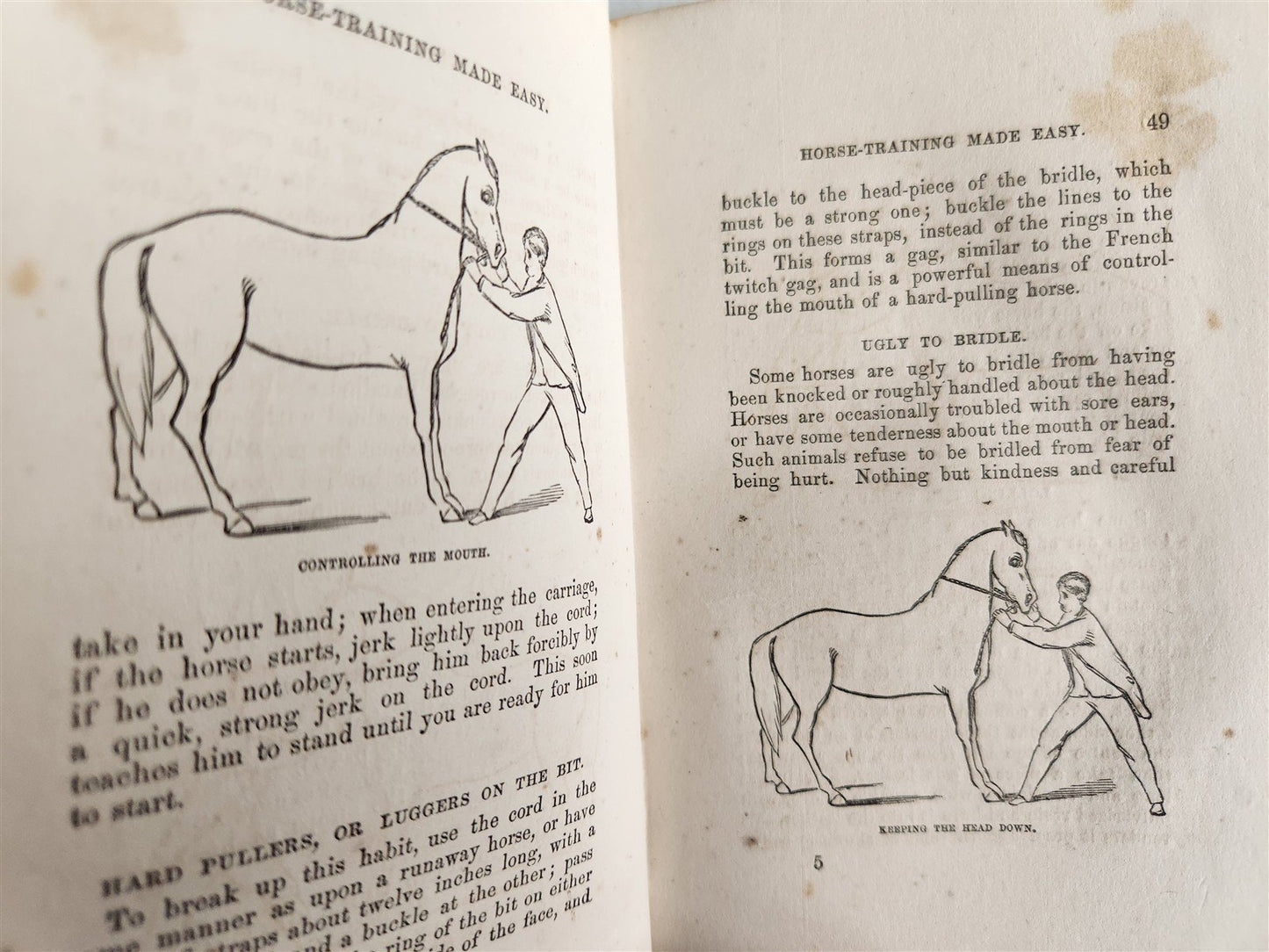 1866 HORSE TRAINING MADE EASY by Robert Jennings illustrated ANTIQUE