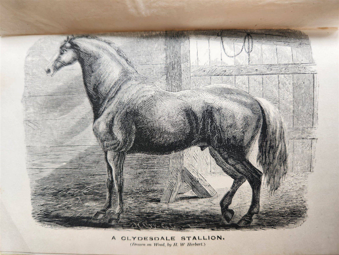 1860 HINTS FOR HORSE KEEPERS HORSEMEN MANUAL CIVIL WAR ERA illustrated ANTIQUE
