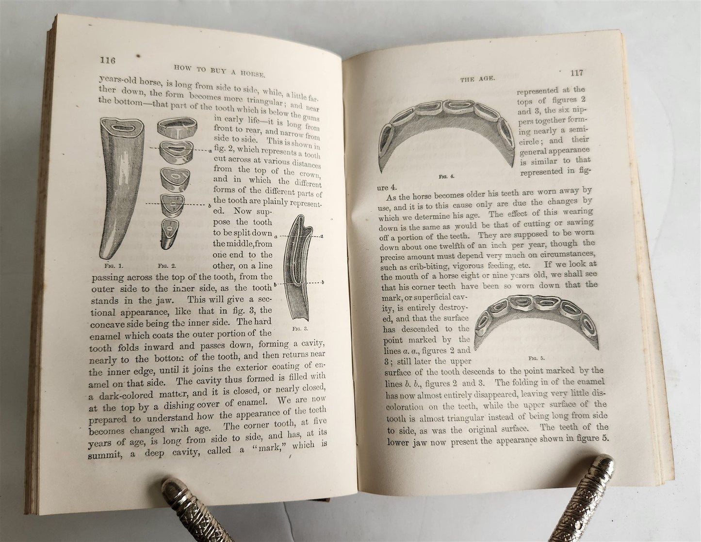 1860 HINTS FOR HORSE KEEPERS HORSEMEN MANUAL CIVIL WAR ERA illustrated ANTIQUE