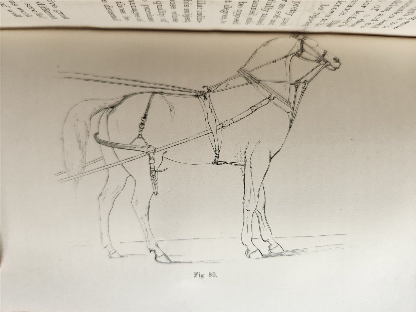 1860 HINTS FOR HORSE KEEPERS HORSEMEN MANUAL CIVIL WAR ERA illustrated ANTIQUE