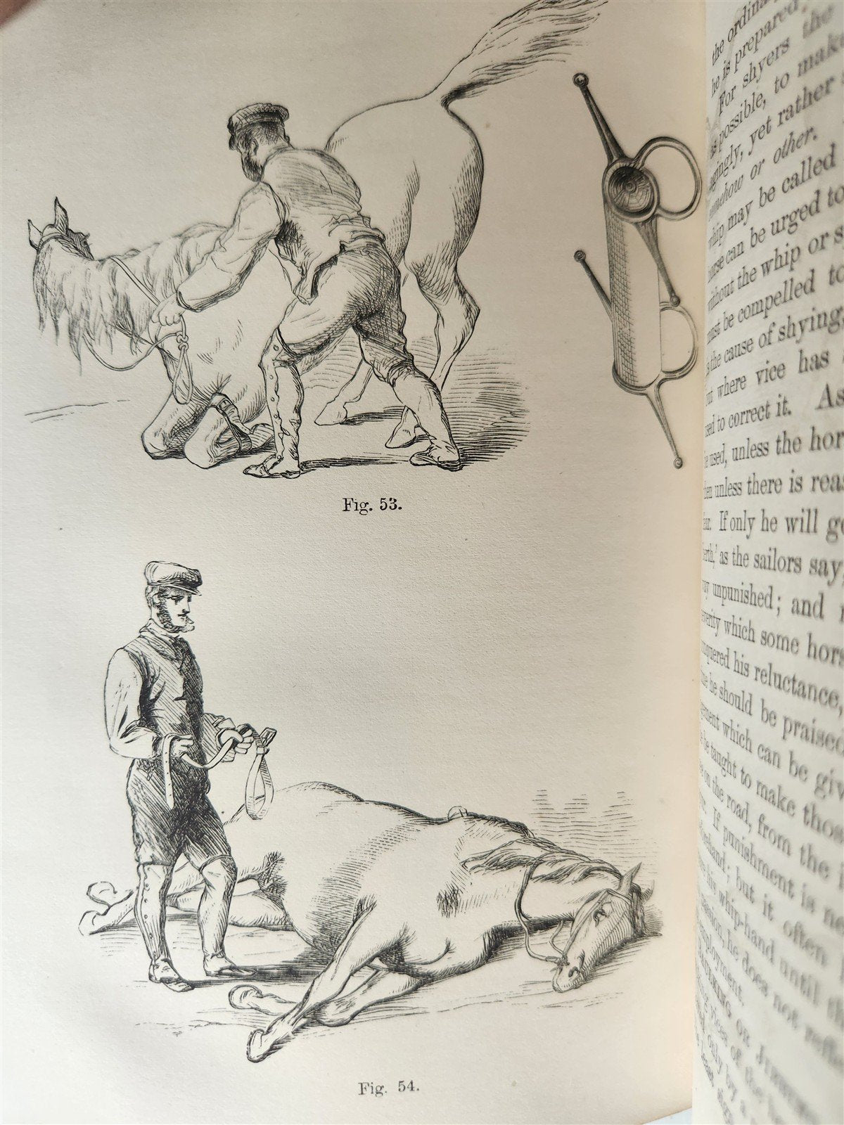 1860 HINTS FOR HORSE KEEPERS HORSEMEN MANUAL CIVIL WAR ERA illustrated ANTIQUE