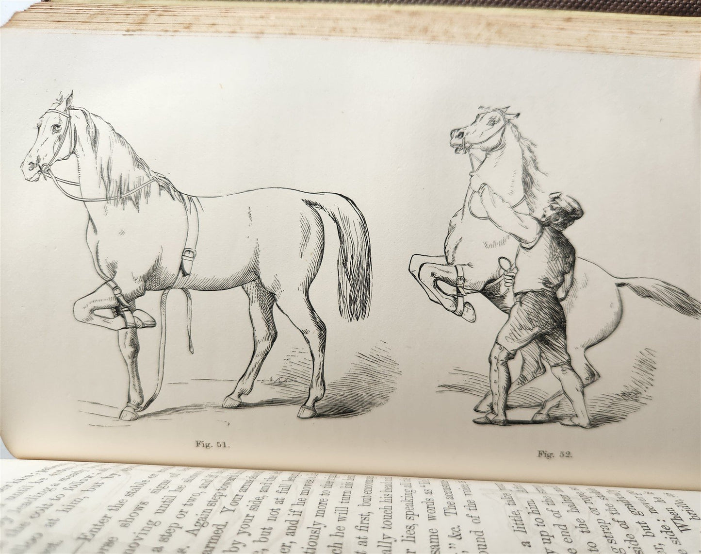 1860 HINTS FOR HORSE KEEPERS HORSEMEN MANUAL CIVIL WAR ERA illustrated ANTIQUE