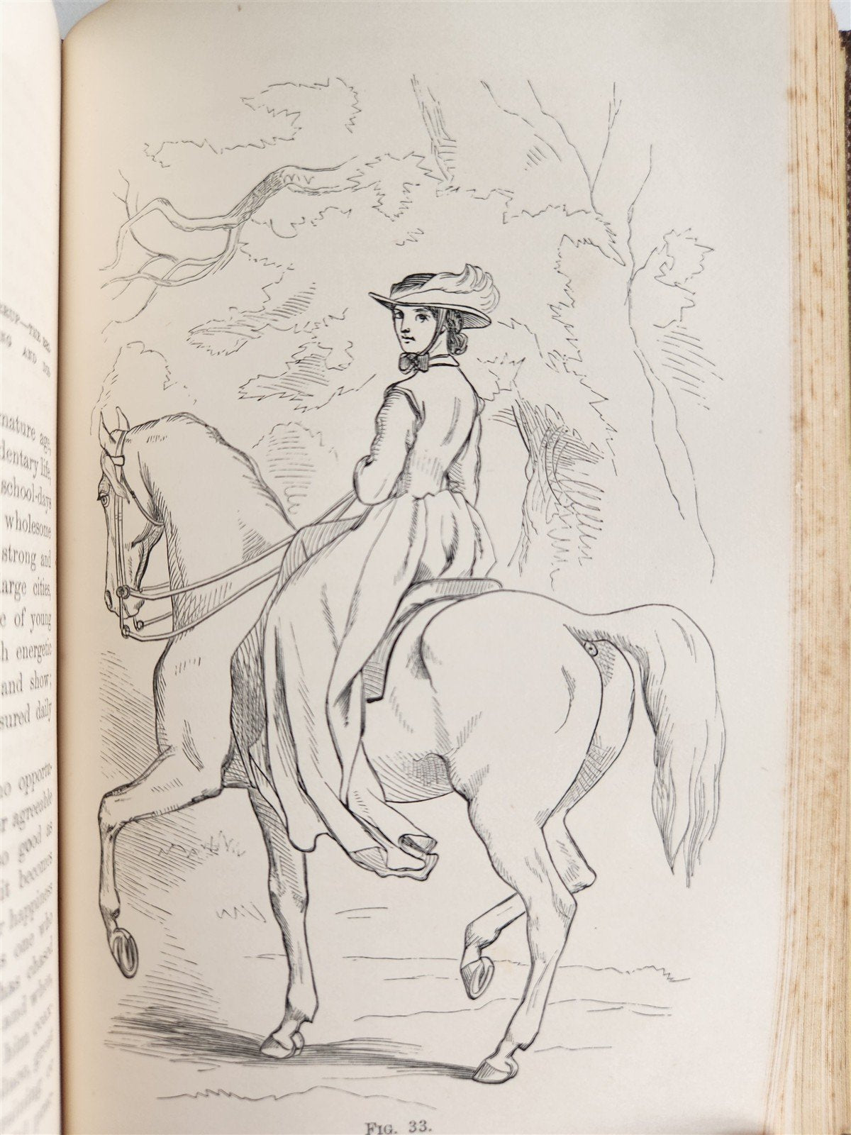 1860 HINTS FOR HORSE KEEPERS HORSEMEN MANUAL CIVIL WAR ERA illustrated ANTIQUE
