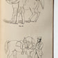 1860 HINTS FOR HORSE KEEPERS HORSEMEN MANUAL CIVIL WAR ERA illustrated ANTIQUE