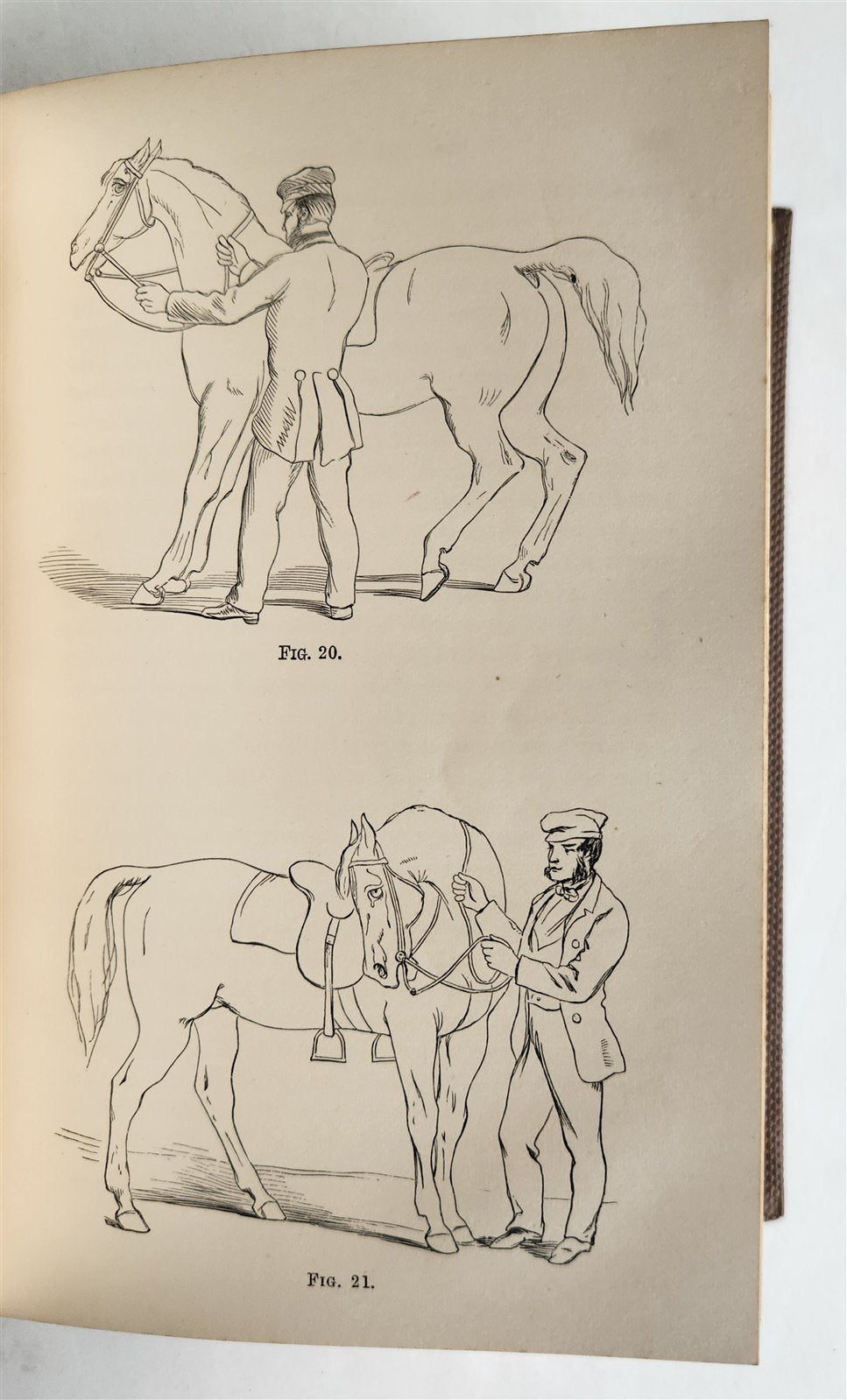 1860 HINTS FOR HORSE KEEPERS HORSEMEN MANUAL CIVIL WAR ERA illustrated ANTIQUE