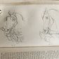 1860 HINTS FOR HORSE KEEPERS HORSEMEN MANUAL CIVIL WAR ERA illustrated ANTIQUE
