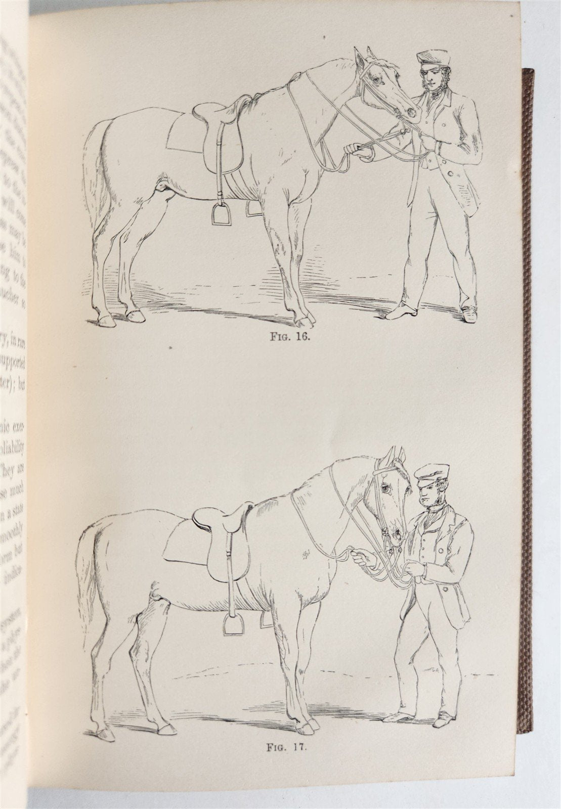 1860 HINTS FOR HORSE KEEPERS HORSEMEN MANUAL CIVIL WAR ERA illustrated ANTIQUE