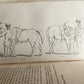 1860 HINTS FOR HORSE KEEPERS HORSEMEN MANUAL CIVIL WAR ERA illustrated ANTIQUE