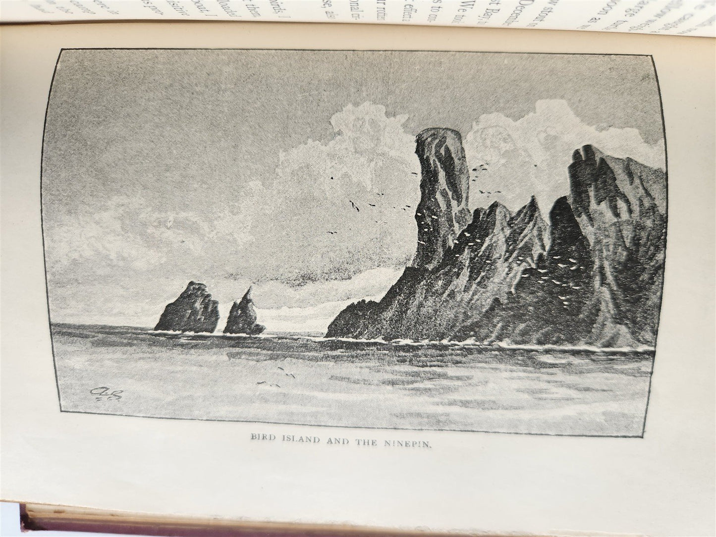 1896 TREASURE SEARCH in TRINIDAD Cruise of Alerte by Knight antique ILLUSTRATED