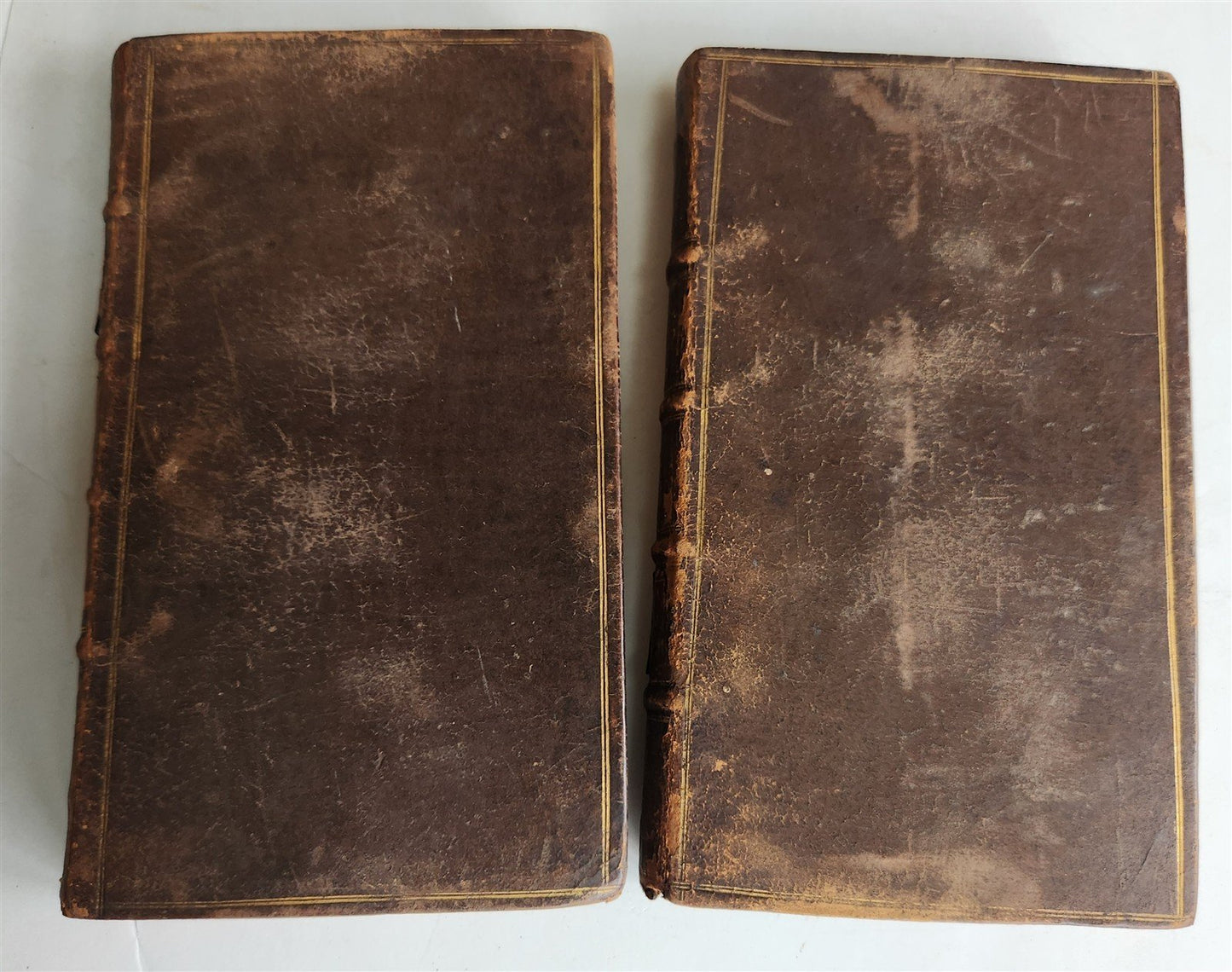 1731 Poems on Several Occasions 2 VOLUMES POETRY by JOHN GAY antique