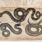 1796 Historical Geographical Commercial Philosophical View of USA 4 VOLS antique