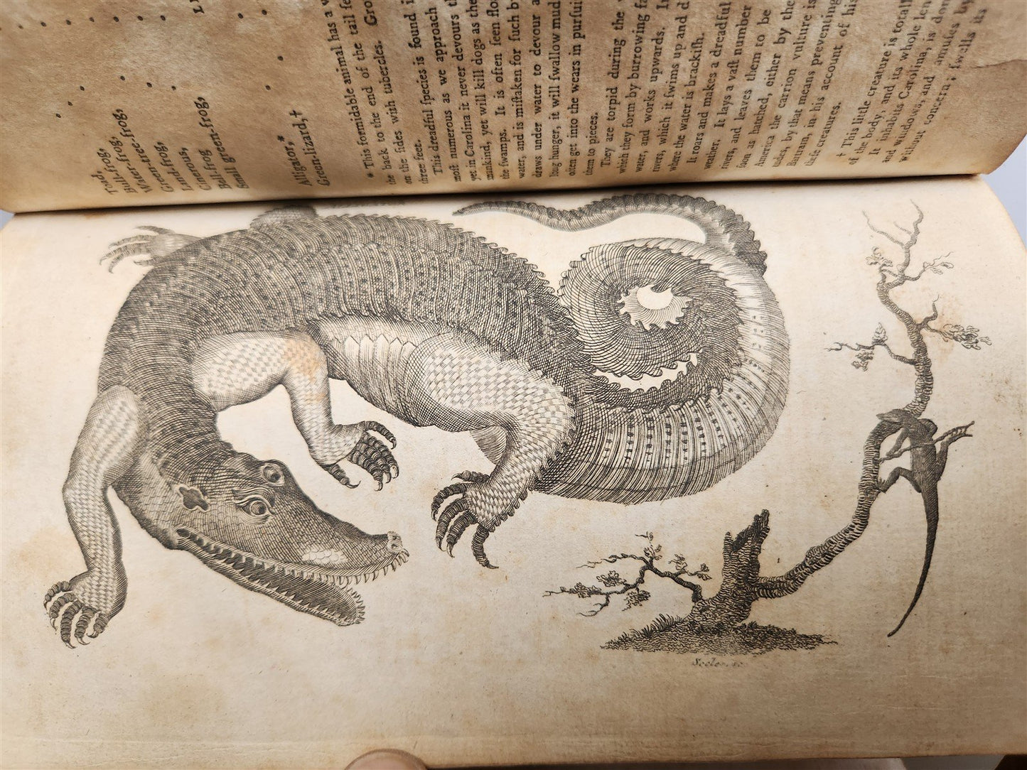 1796 Historical Geographical Commercial Philosophical View of USA 4 VOLS antique
