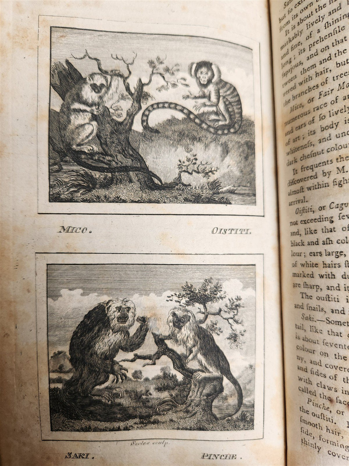 1796 Historical Geographical Commercial Philosophical View of USA 4 VOLS antique