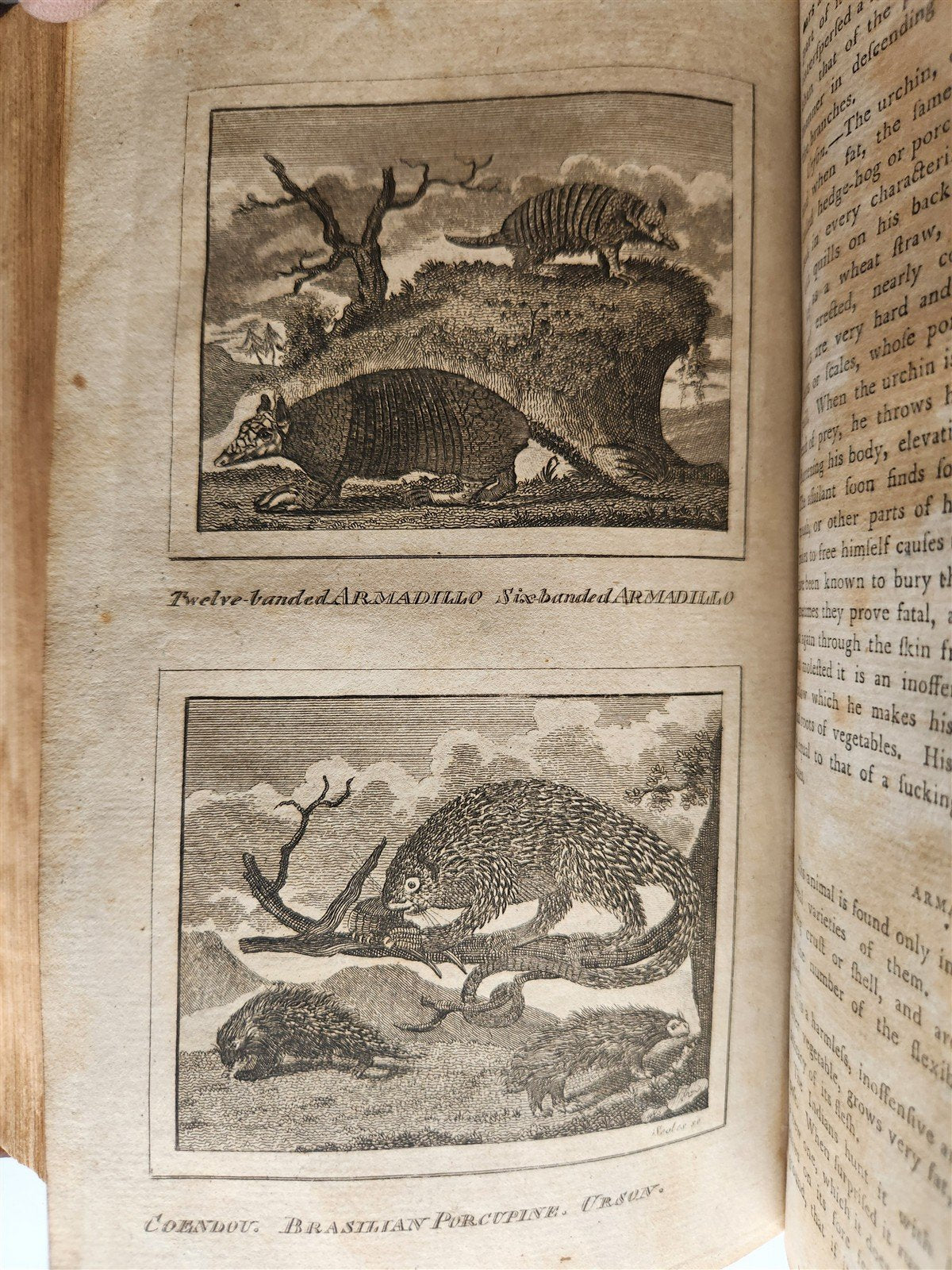 1796 Historical Geographical Commercial Philosophical View of USA 4 VOLS antique